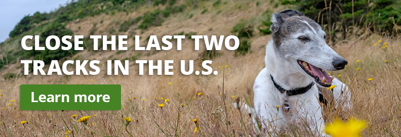 Close the last two tracks in the U.S. - Learn more