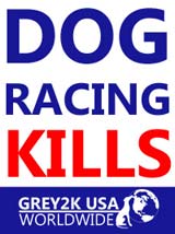 Dog Racing Kills