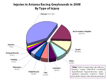Injuries in Arizona Racing Greyhounds in 2008, By Type of Injury
