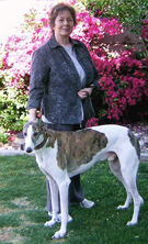 Caryn Wood
