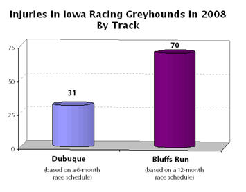 Injuries in Iowa Racing Greyhounds in 2008, By Track