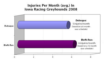Injuries in Iowa Racing Greyhounds in 2008 By Type of Injury