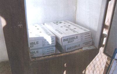 Racing Greyhounds Are Fed 4-D Meat