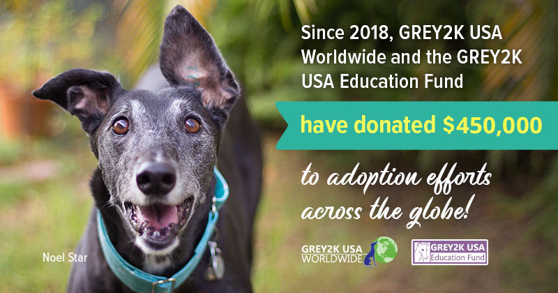 GREY2K supports greyhound adoption