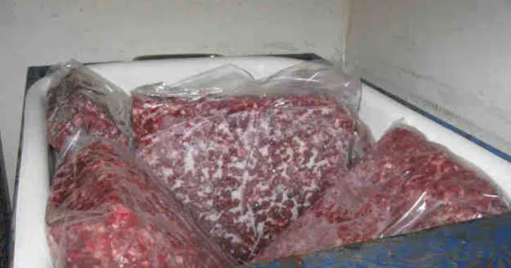 Greyhound meat sales