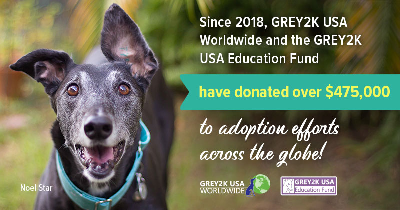 GREY2K has donated $475,000 to adoption efforts across the globe