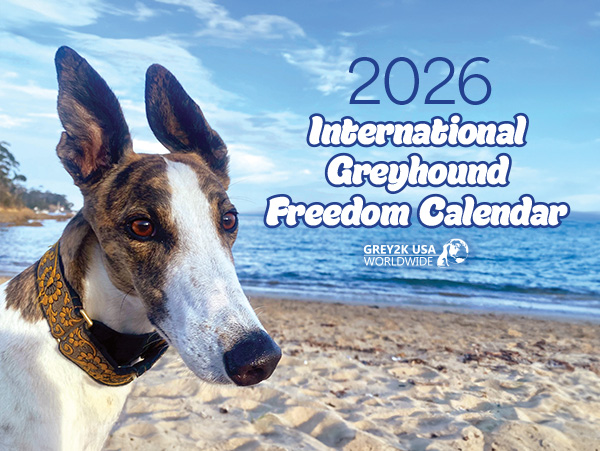 2026 Greyhound International Greyhound Freedom Calendar