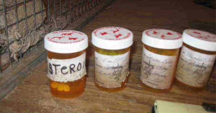 Drugs found at a dog racing kennel in the United States