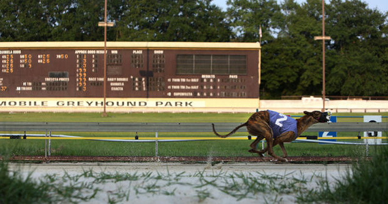Mobile Greyhound Park ended live racing in August 2017
