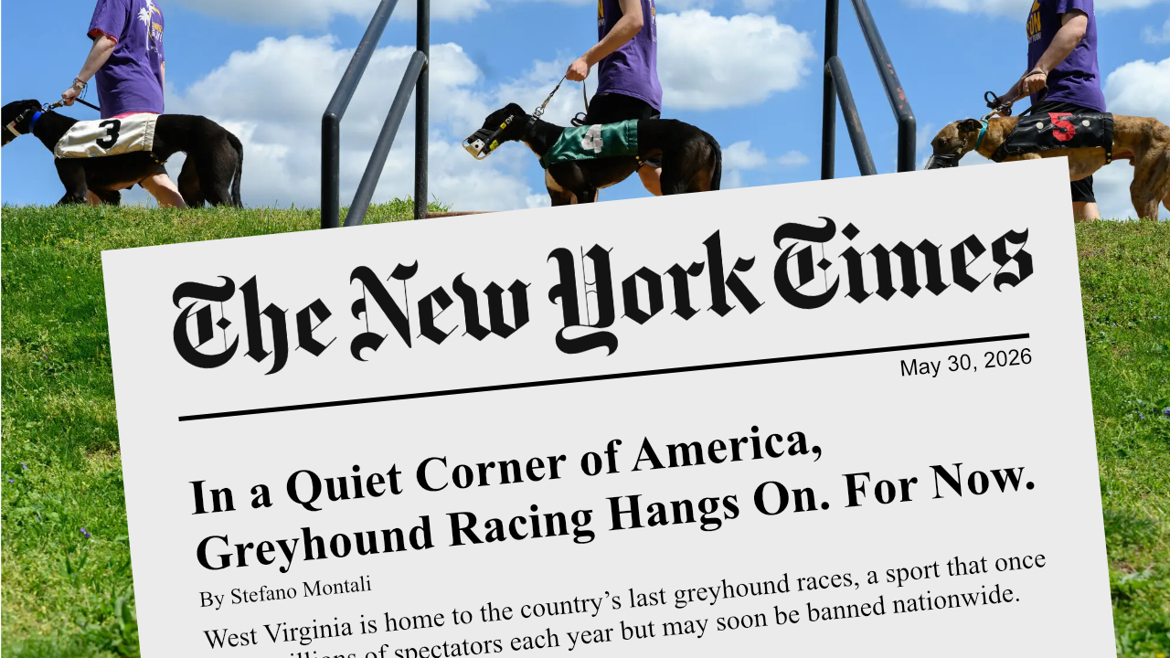 New York Times