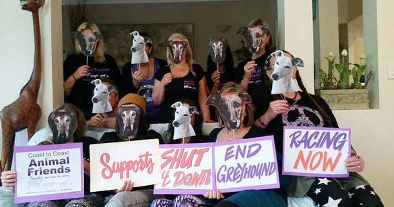 Protesters against greyhound racing in Australia
