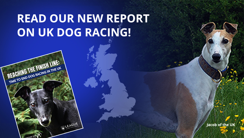 read the report