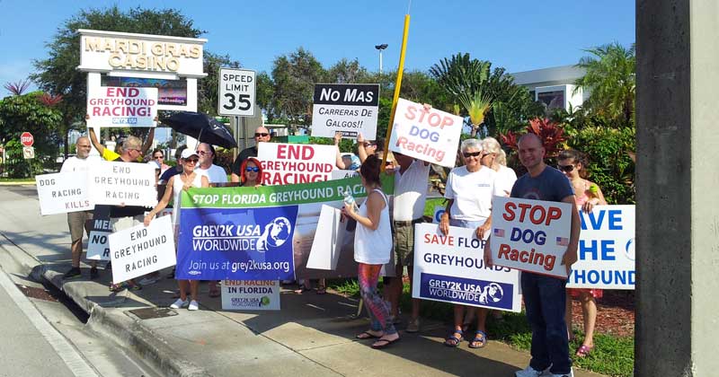 Volunteers gather to protest dog racing in Florida