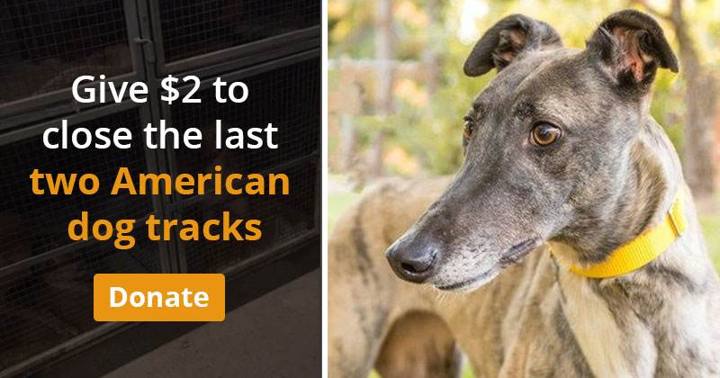Give $2 to close the last two American dog tracks