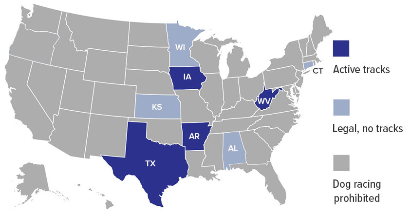 Active dog racing states