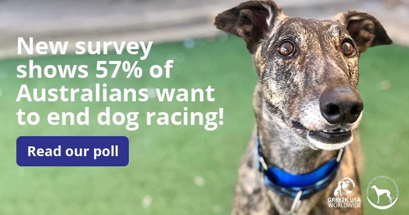 Read our Survey