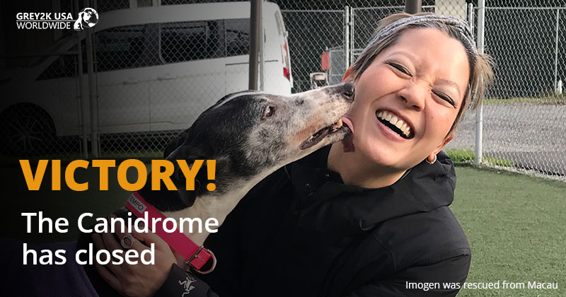 Canidrome Victory