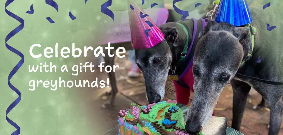 Celebrate with a donation