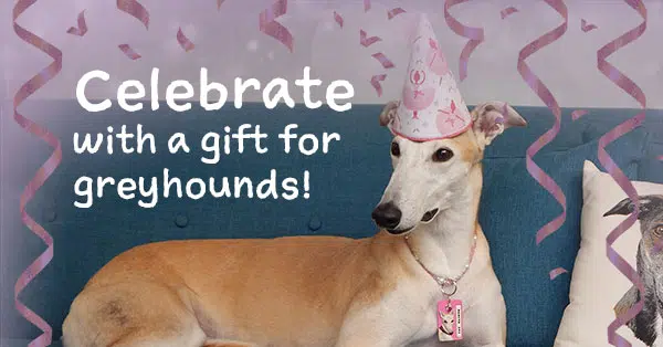 Celebrate your birthday with a fundraiser for greyhounds