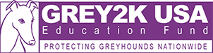 GREY2K USA Education Fund logo