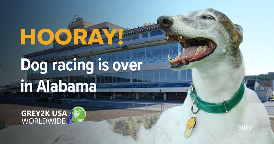 Hooray! Dog racing is over in Alabama