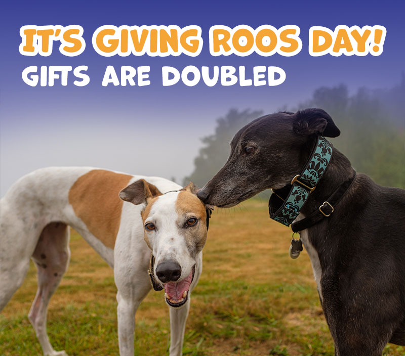 It's Giving Roos Day Gifts are doubled