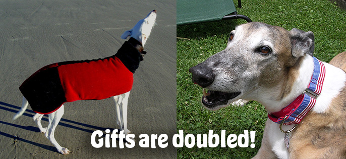 Double your gift to free the greyhounds