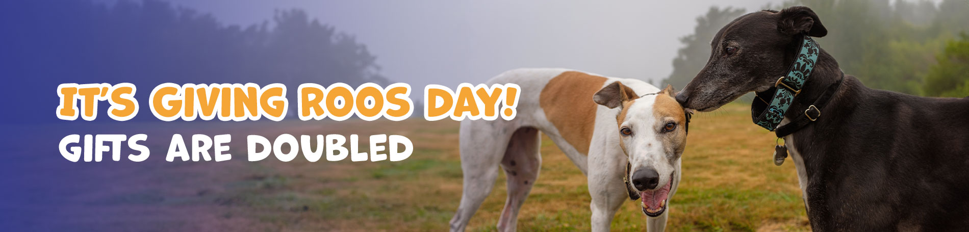 It's Giving Roos Day Gifts are doubled