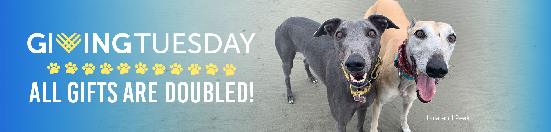 Giving Tuesday all gifts are doubled