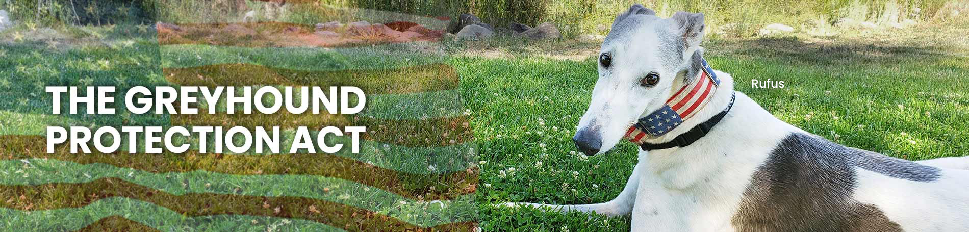 The Greyhound Protection Act