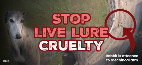End Live Lure training