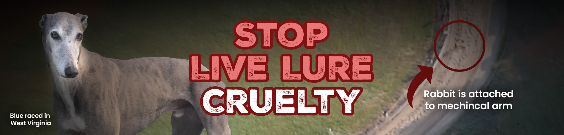 End Live Lure training