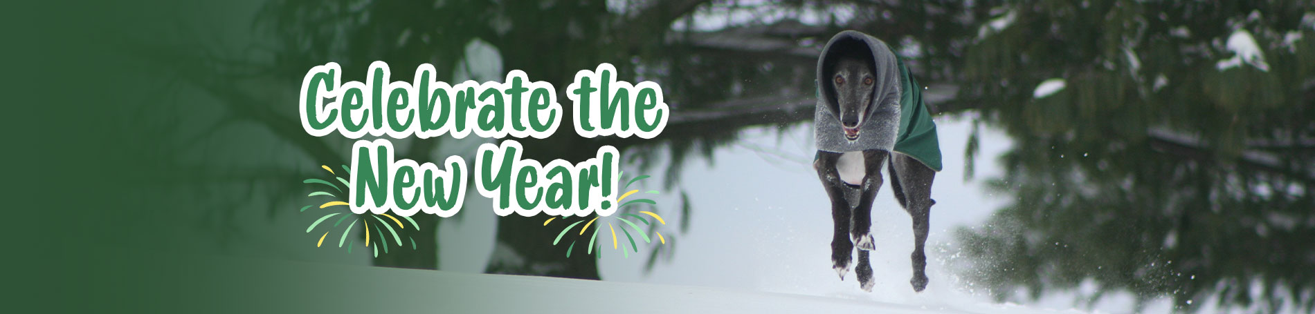 Celebrate the New Year!