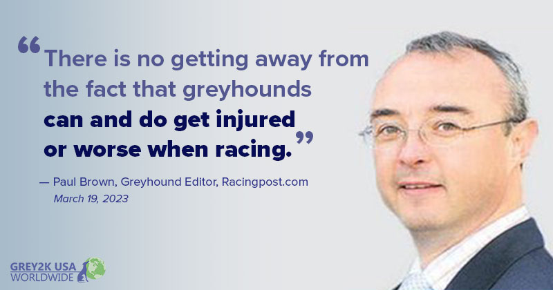 Paul Brown Racingpost quote