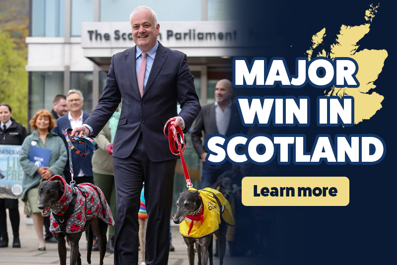 Major Win in Scotland - Learn more