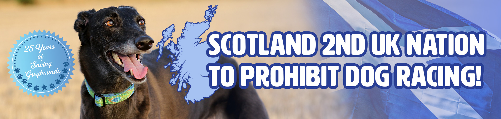 Scotland 2nd UK nation to prohibit dog racing