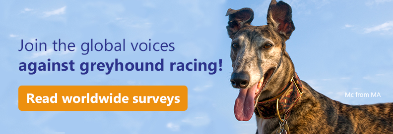 Read our surveys