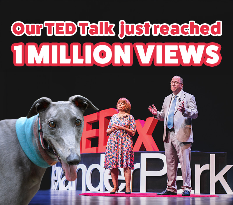 Our Ted Talk just reached 1 million views