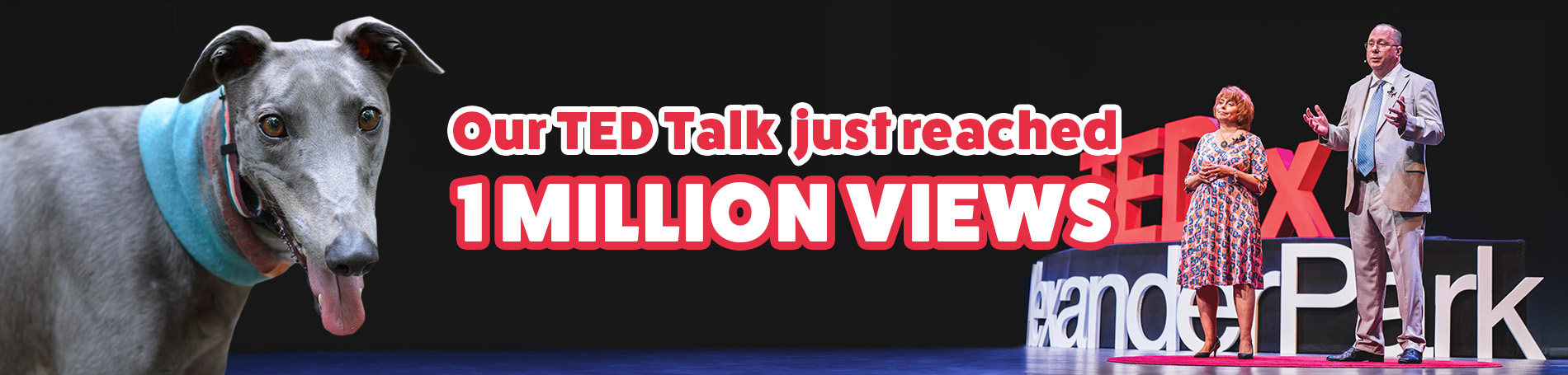 Our Ted Talk just reached 1 million views