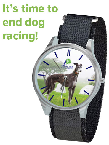 Greyhound Freedom watch