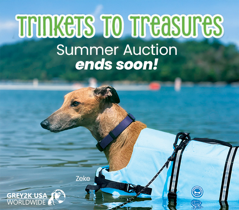 Trickets to Treasures Summer Auction