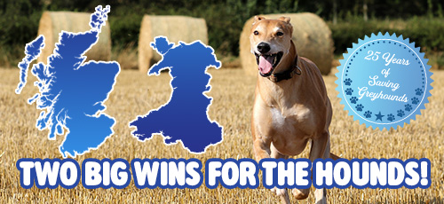 Two big wins for the hounds