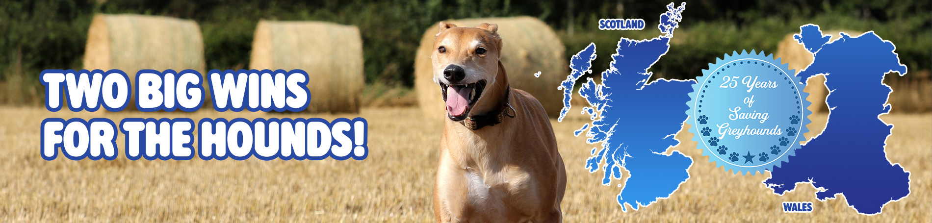 Two big wins for the hounds