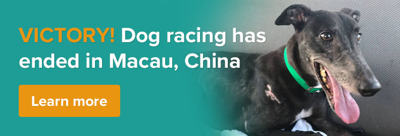 VICTORY! Dog racing ends in Macau