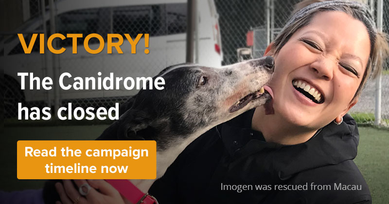 VICTORY! The Canidrome has closed. Help these dogs find homes