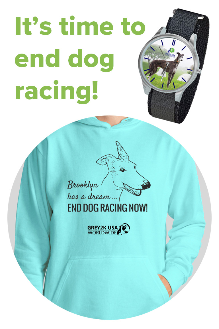 Greyhound Freedom watch and Brooklyn hoodie