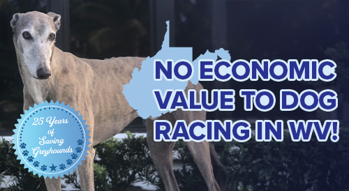 No economic
value to dog racing in WV!