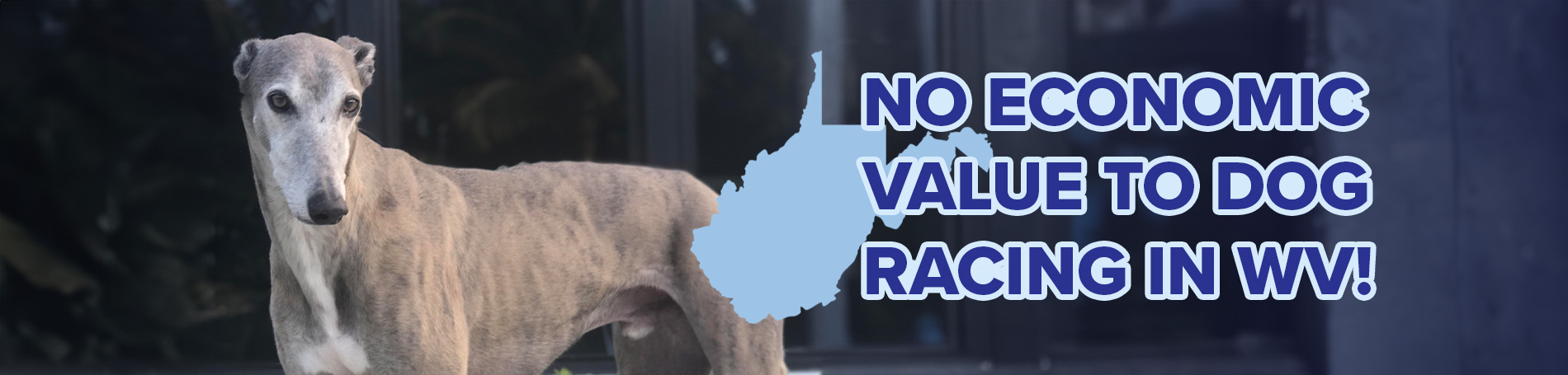 No economic value to dog racing in WV!